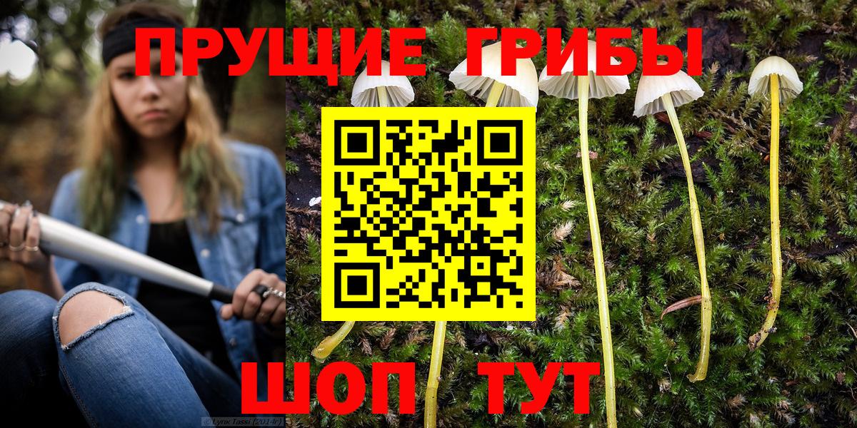 Псилоцибиновые грибы ЛСД  Псилоцибиновые грибы Psilocybine cubensis  где продают наркотики  Дивногорск  Вход с VPN 