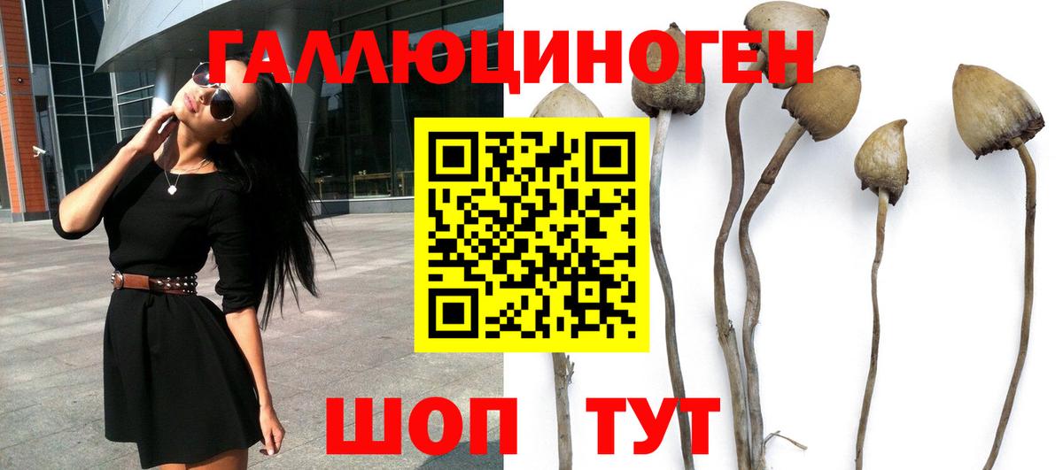 Псилоцибиновые грибы ЛСД Дивногорск
