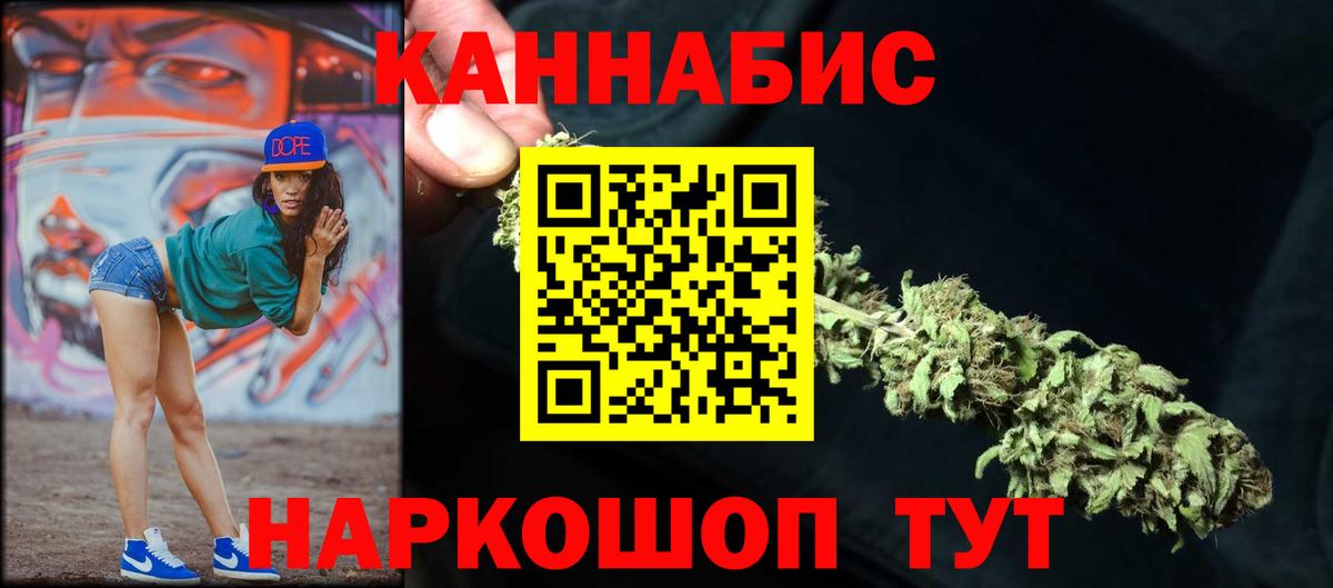 Конопля сатива Дивногорск